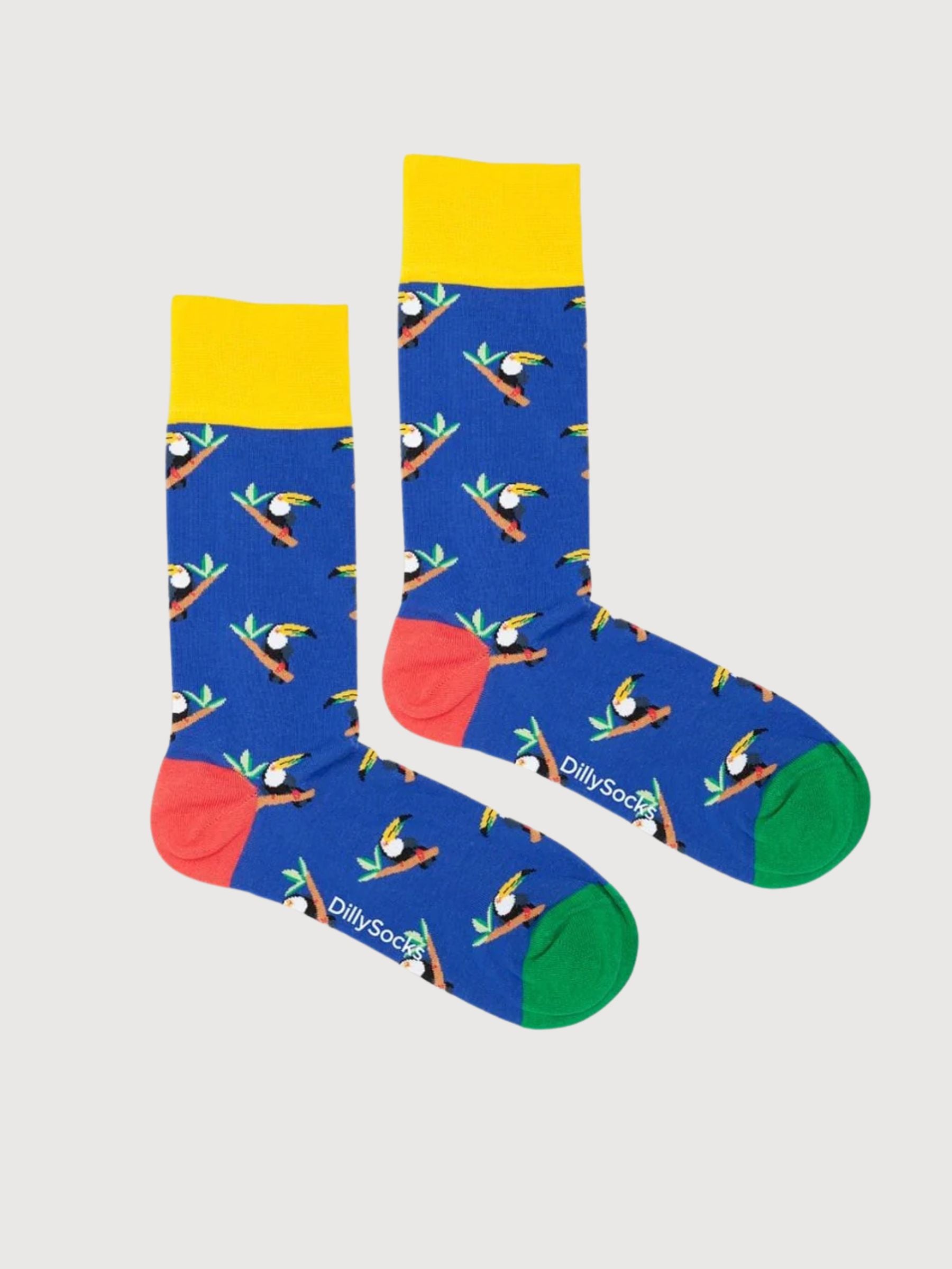 Tucano tropicale | Dillysocks