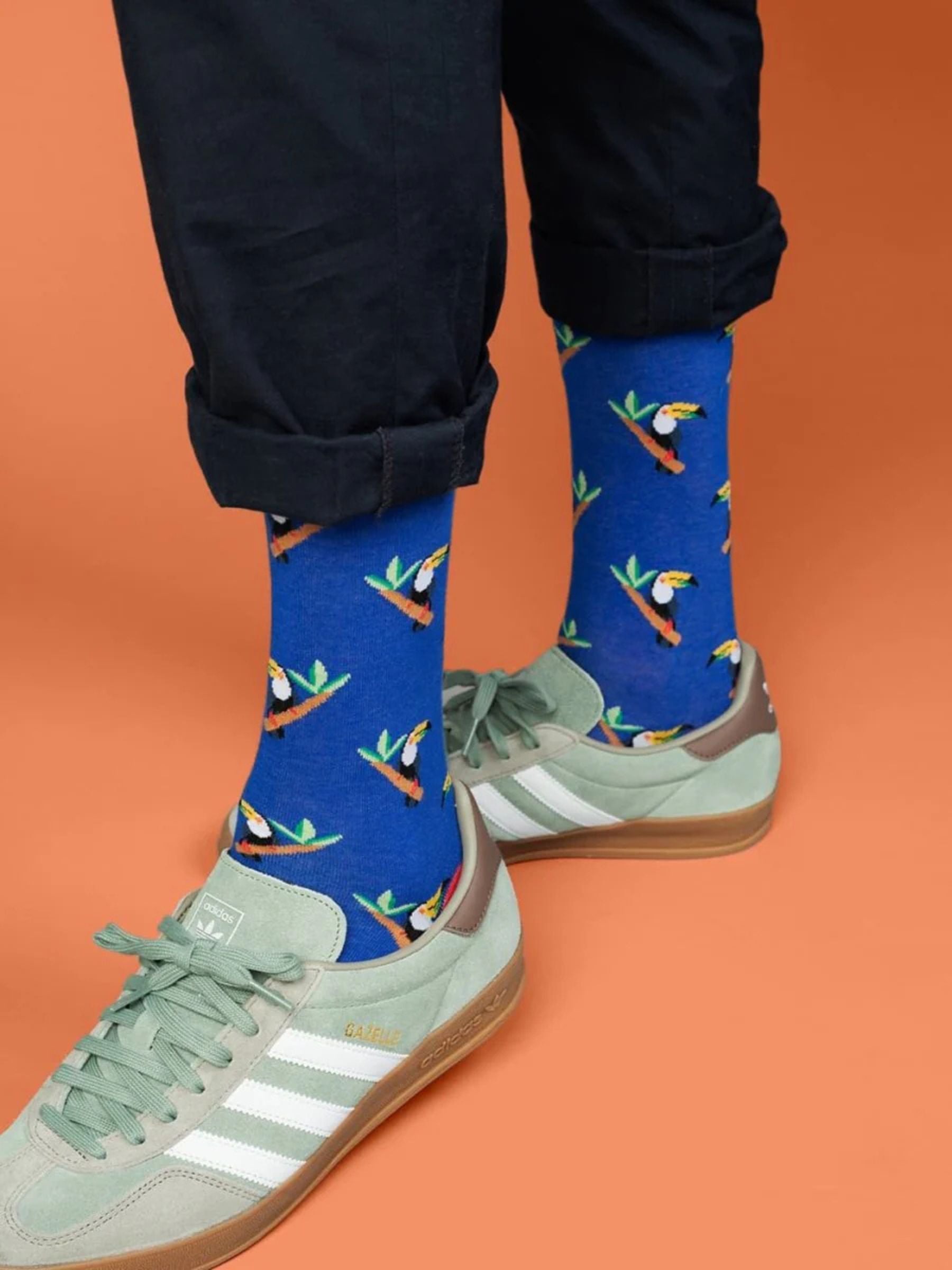 Tucano tropicale | Dillysocks