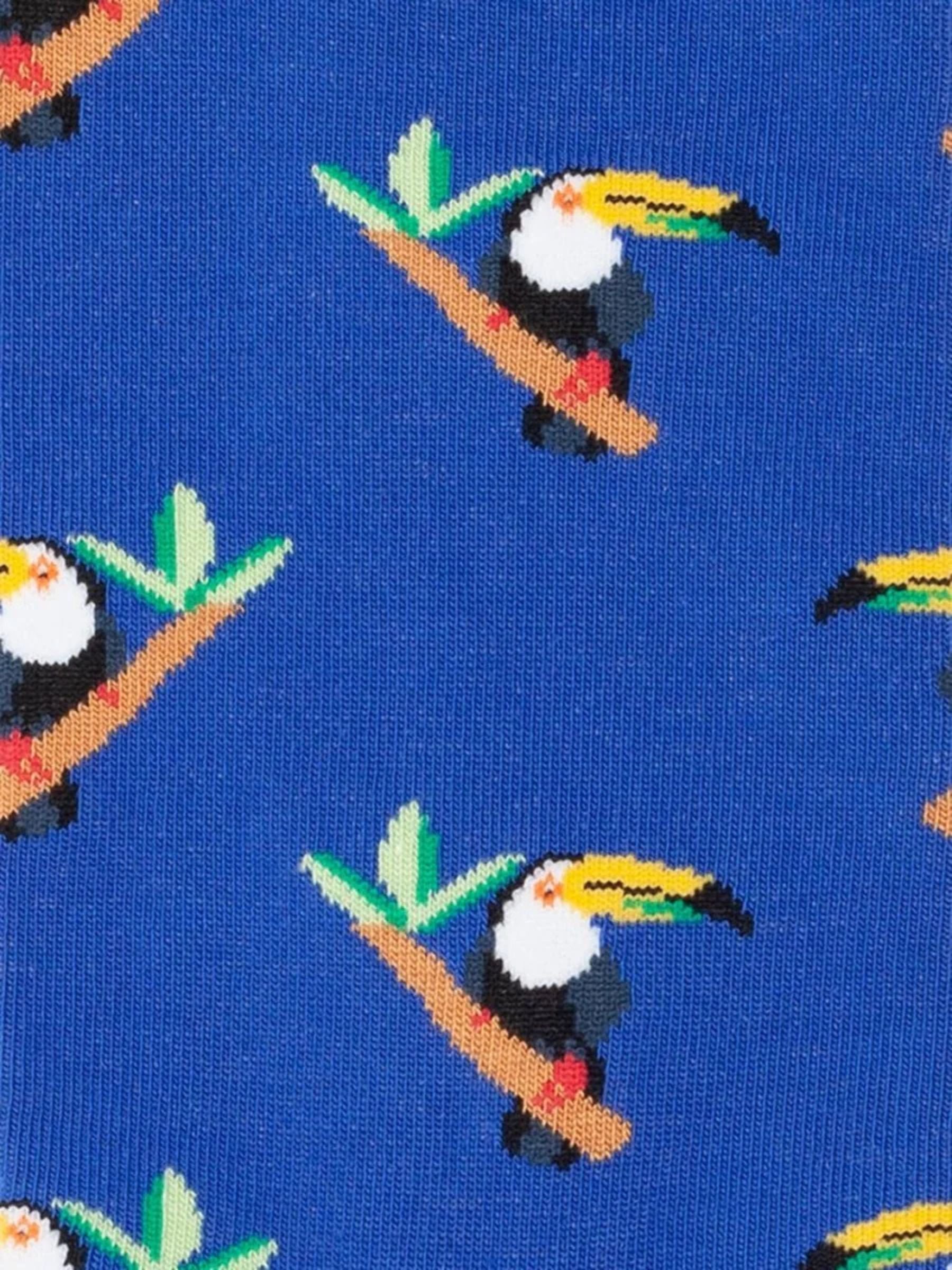 Tucano tropicale | Dillysocks