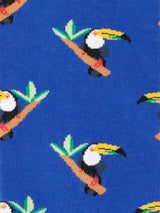 Tropical Toucan | Dillysocks