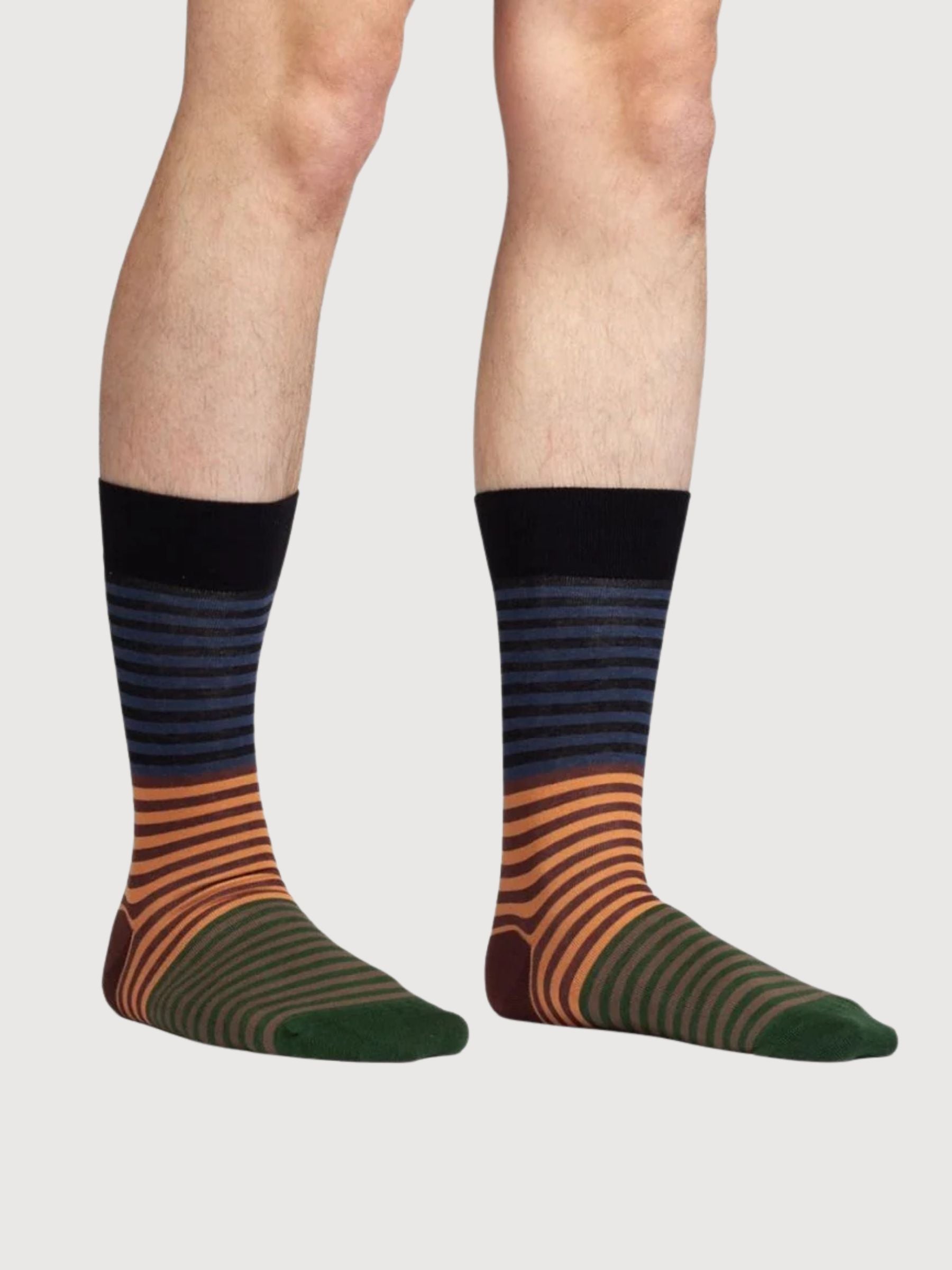 Strisce terrose | Dillysocks