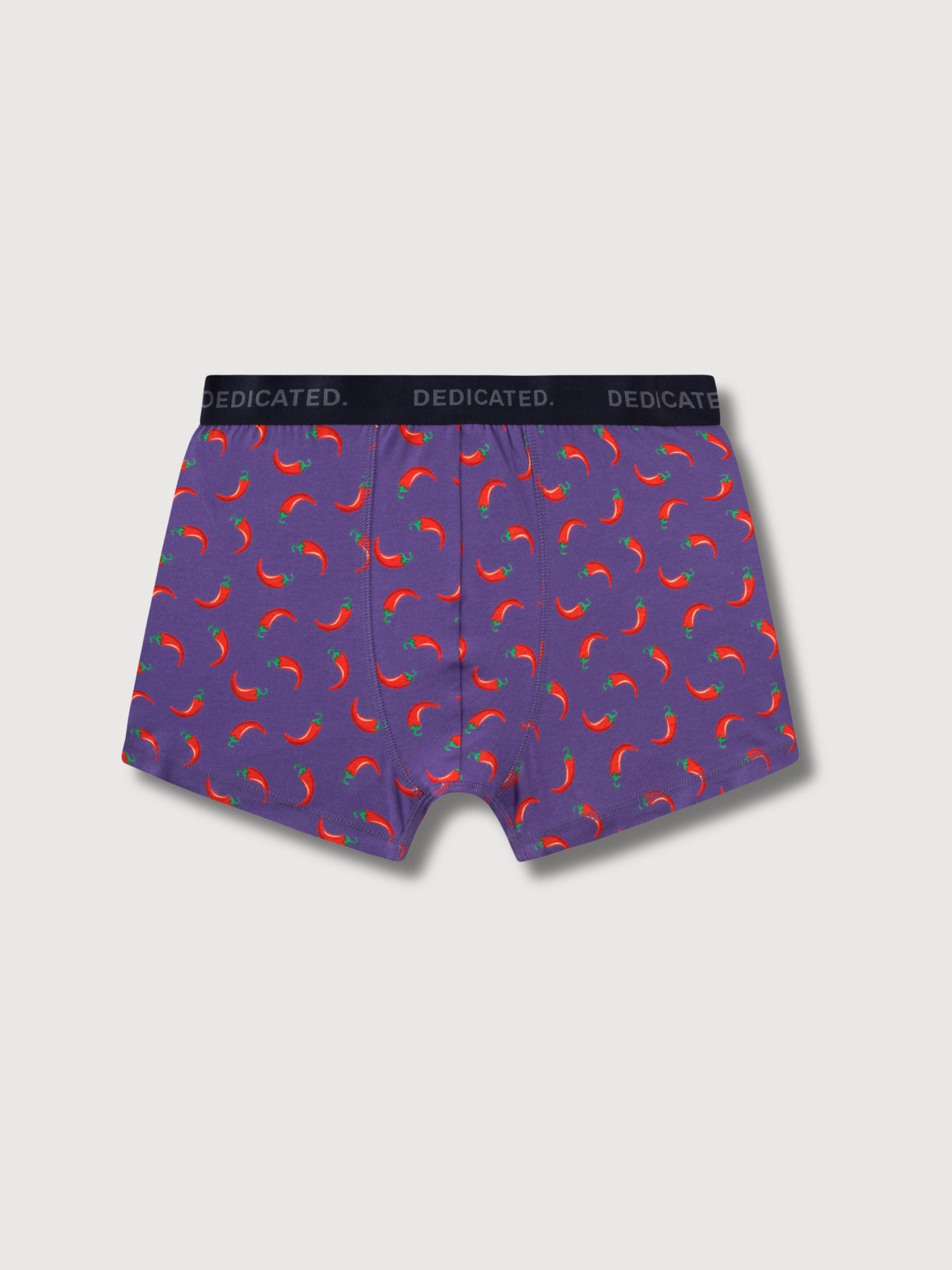Boxer Briefs Kalix Chilli Mystical Purple | Dedicated