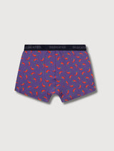 Boxer Briefs Kalix Chilli Mystical Purple | Dedicated
