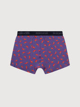 Boxer Kalix Motivo "vegetable" 3 paia in cotone biologico | Dedicated