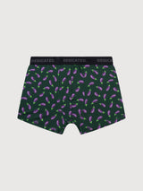 Boxer Kalix Motivo "vegetable" 3 paia in cotone biologico | Dedicated