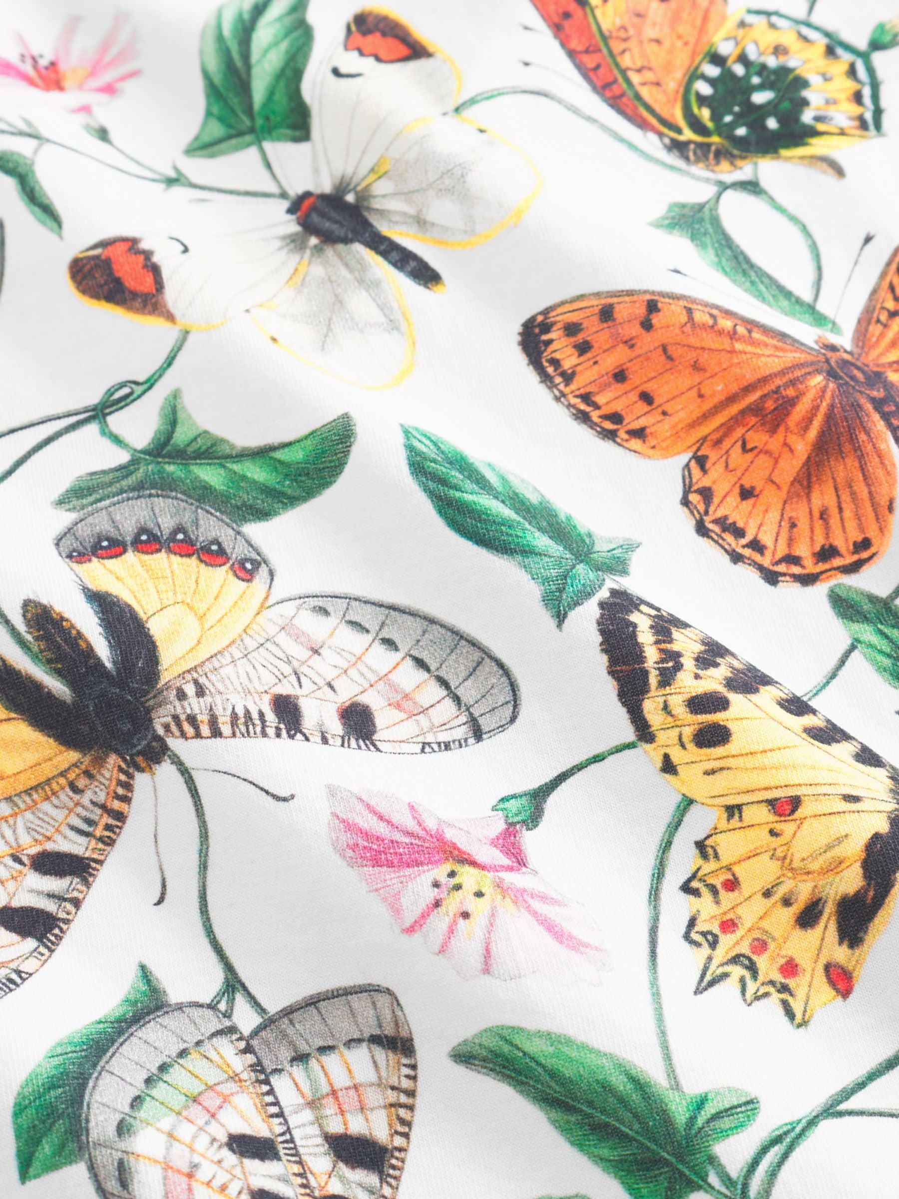 T-Shirt Visby Butterfly Bianco Donna | Dedicated