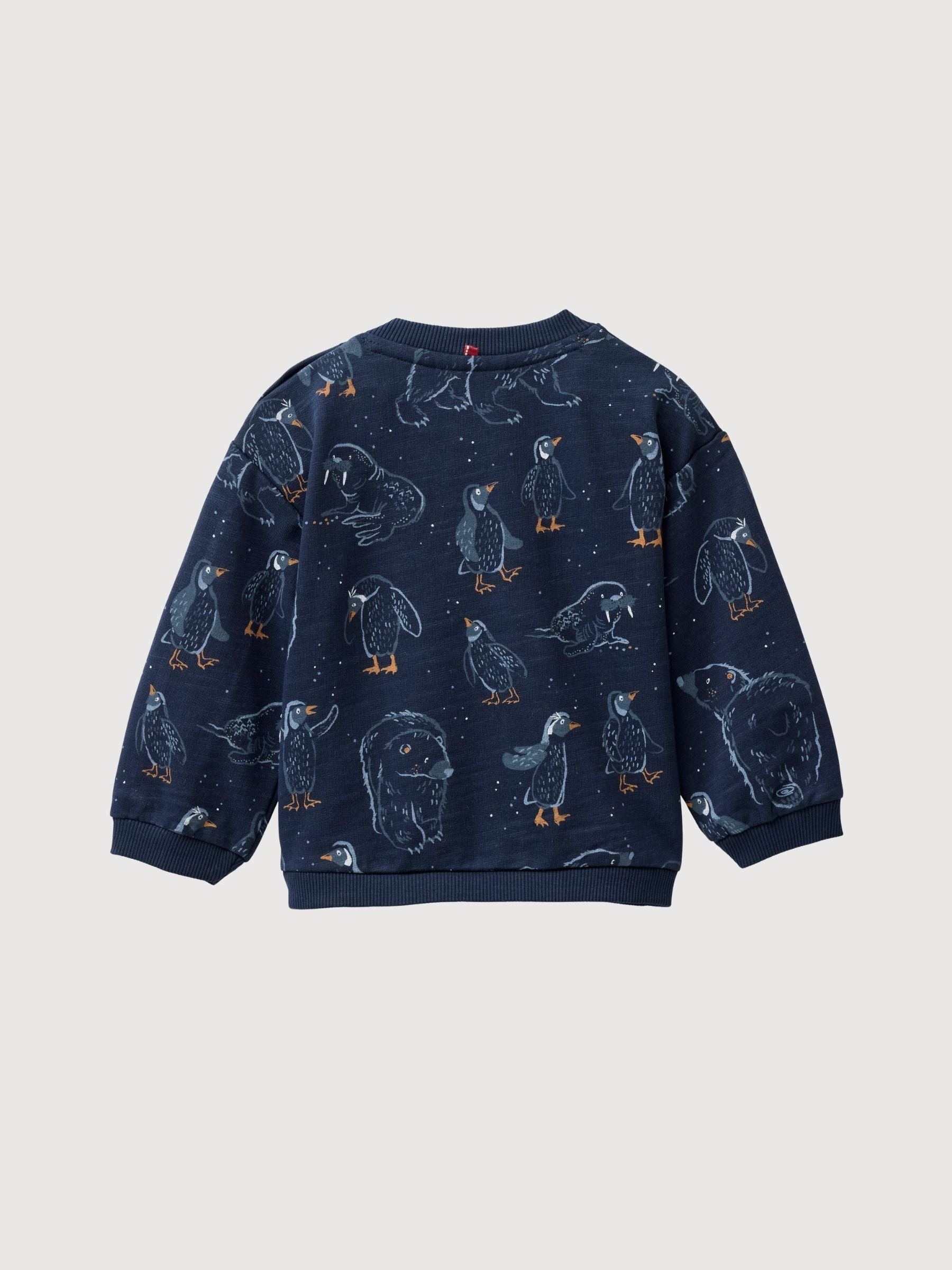 Sweatshirt Pullover Blue Baby | People Wear Organic