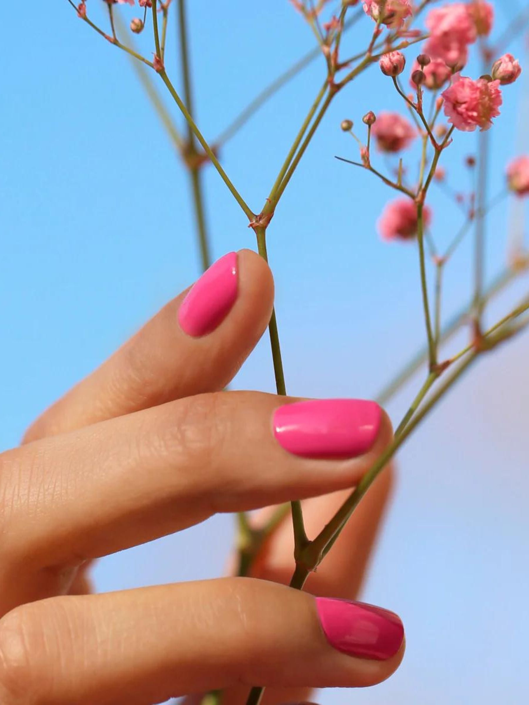 Nail Polish Petula Vegan | Manucurist