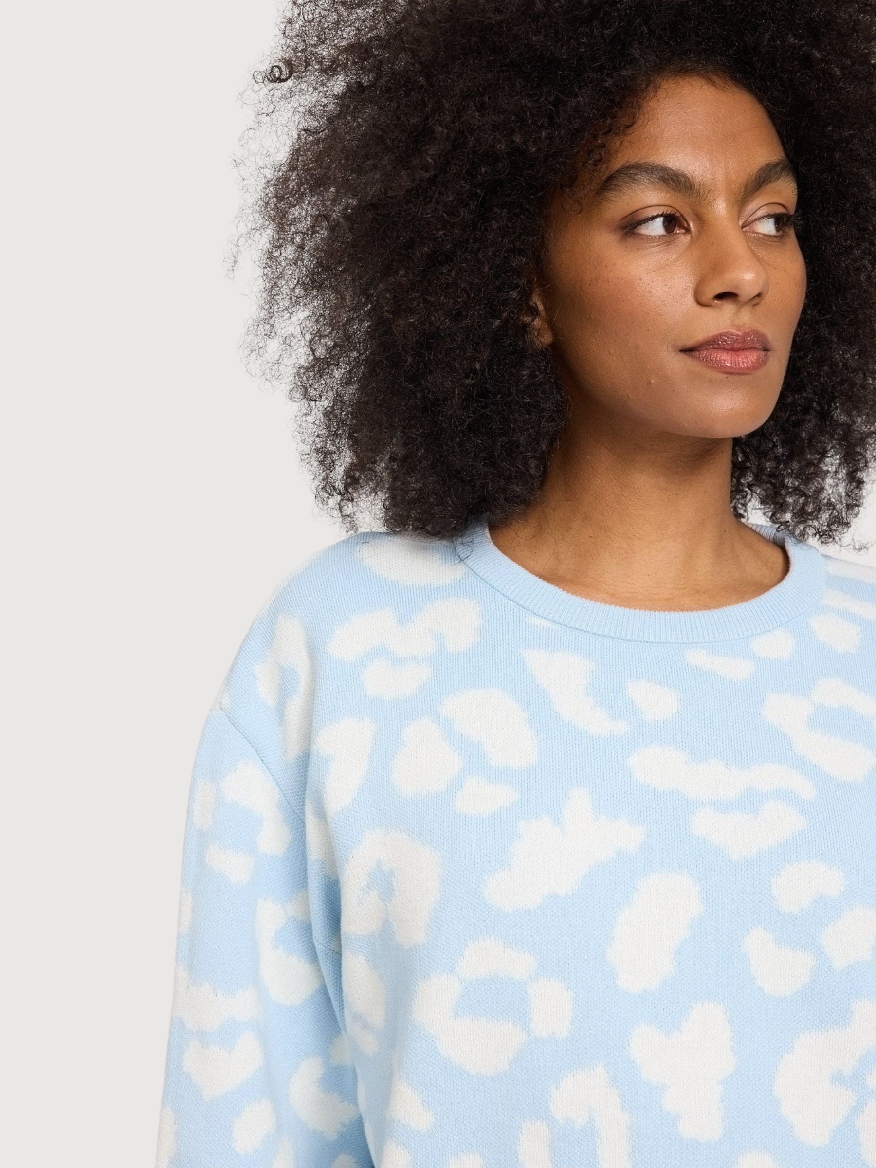 Pullover Leo Jacquard  Dream Blue/White | Mazine