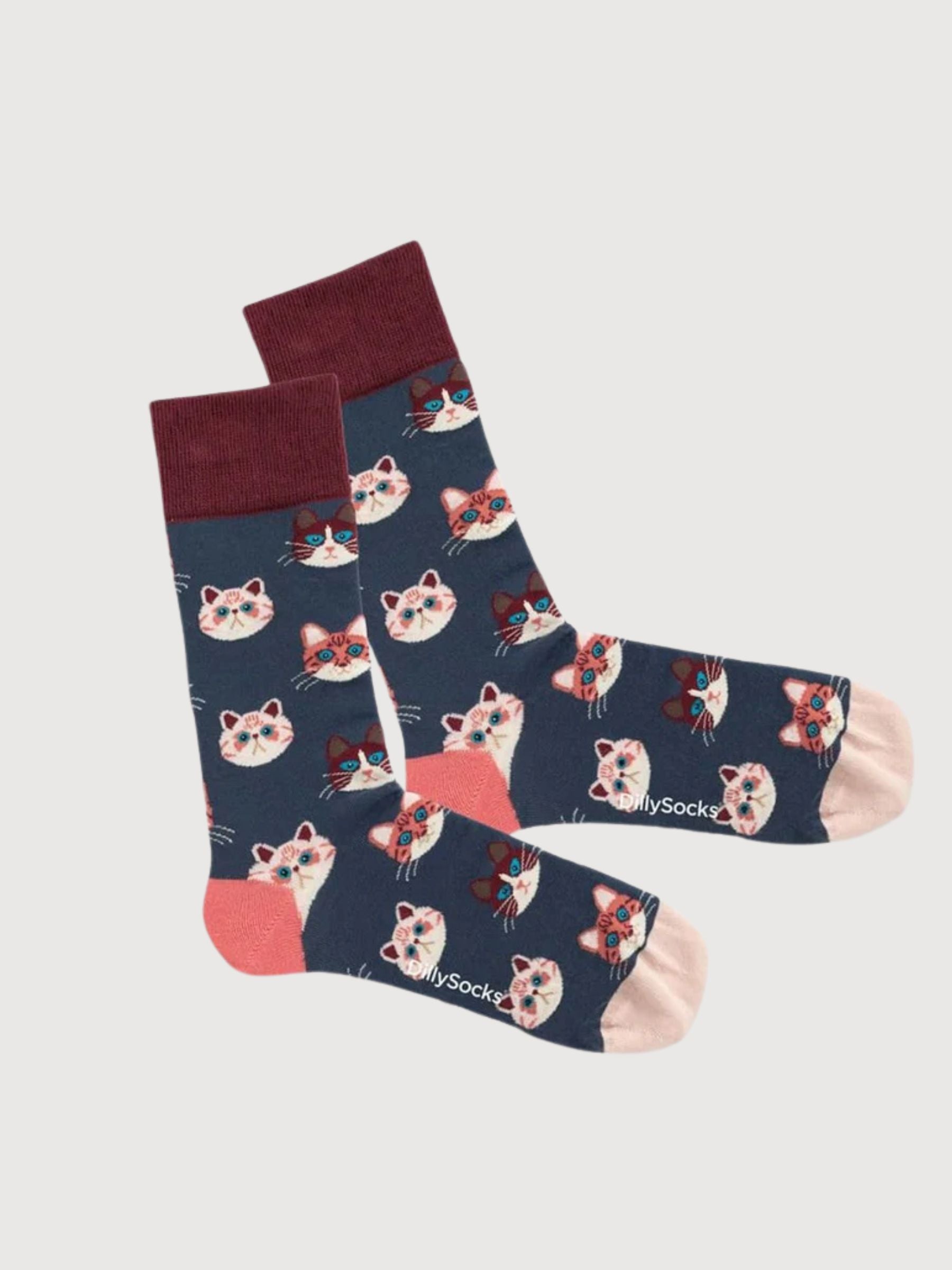 Unisex Socks Sky Kitten | Dillysocks