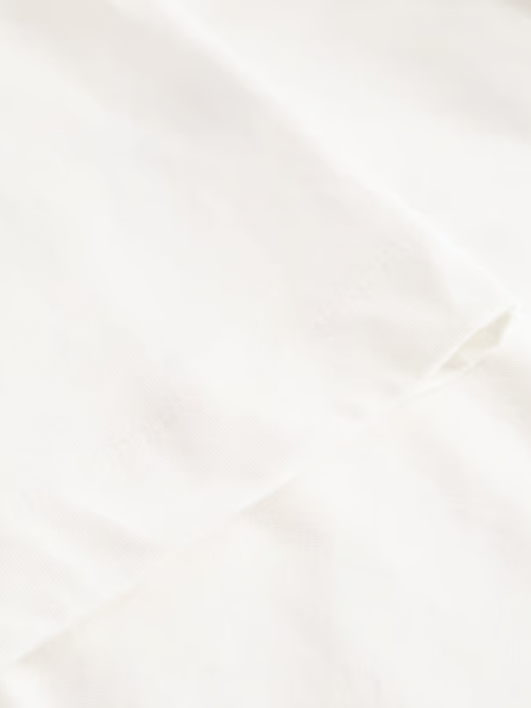 T-shirt Vadstena Heart Cat Off-White | Dedicated