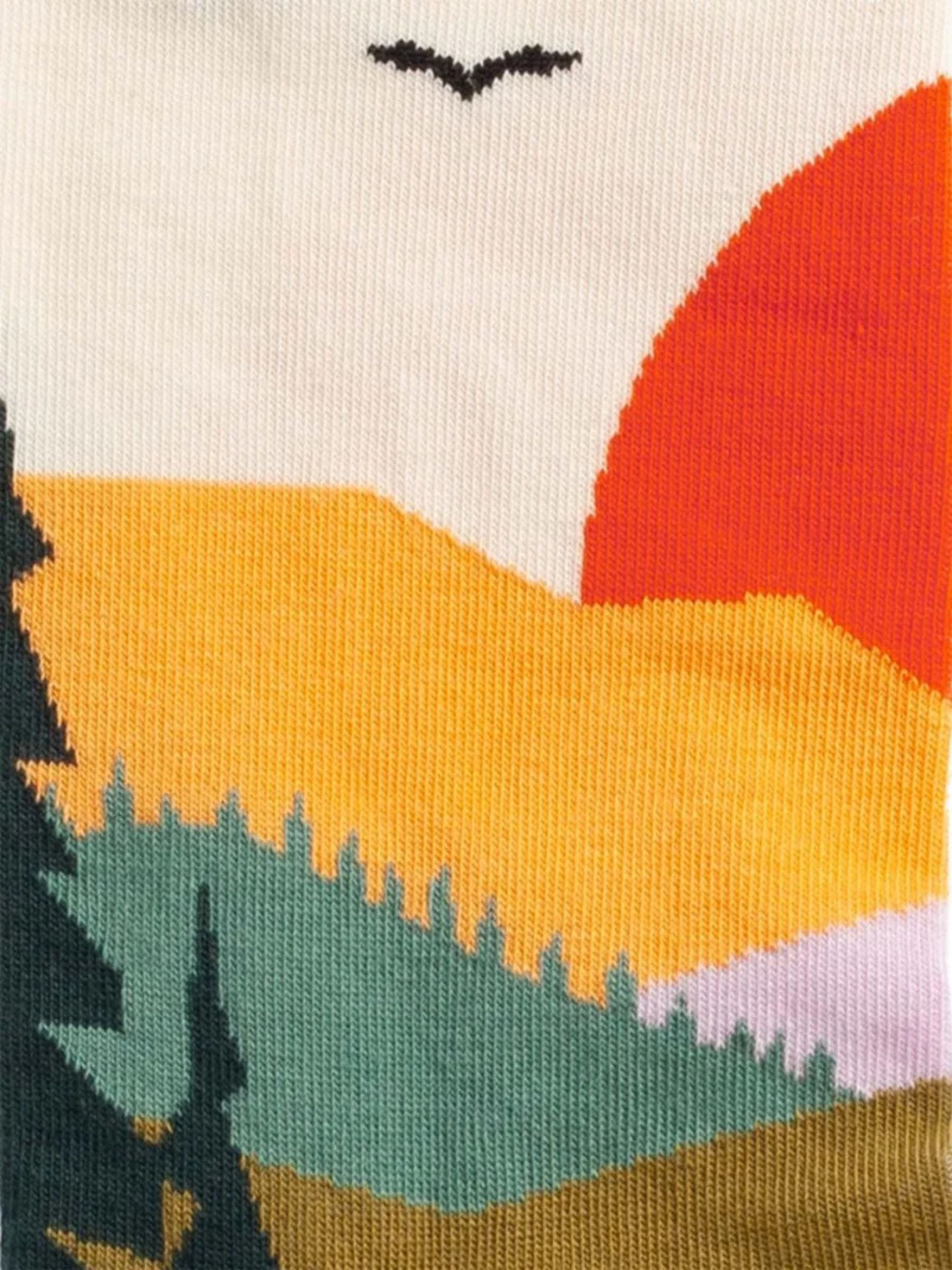 Socken Forest Sunset | Dillysocks