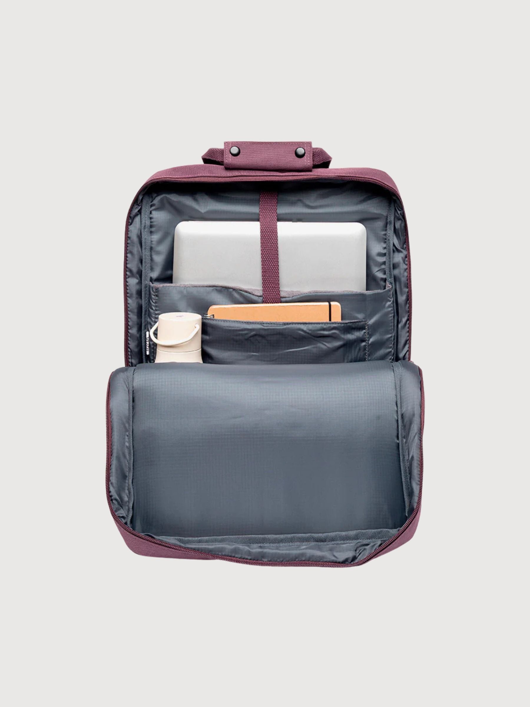 Daily Maroon | Lefrik