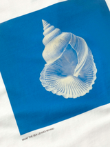 T-Shirt Lena Sea Treasure Woman | Thinking Mu