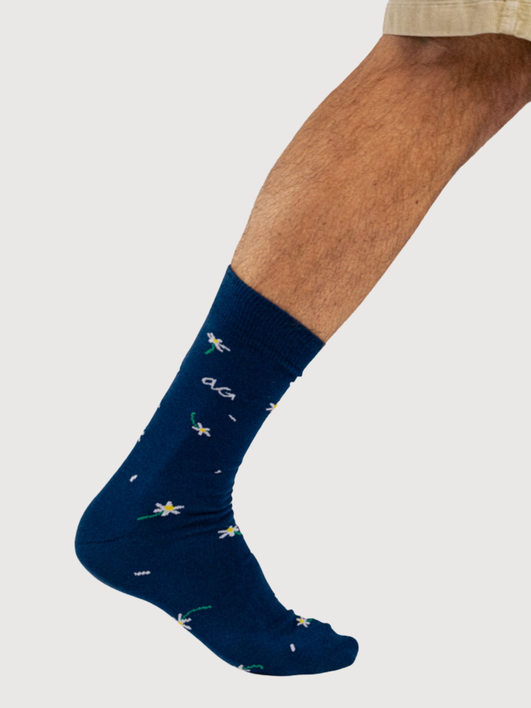Margherite blu navy | Alfredo Gonzales