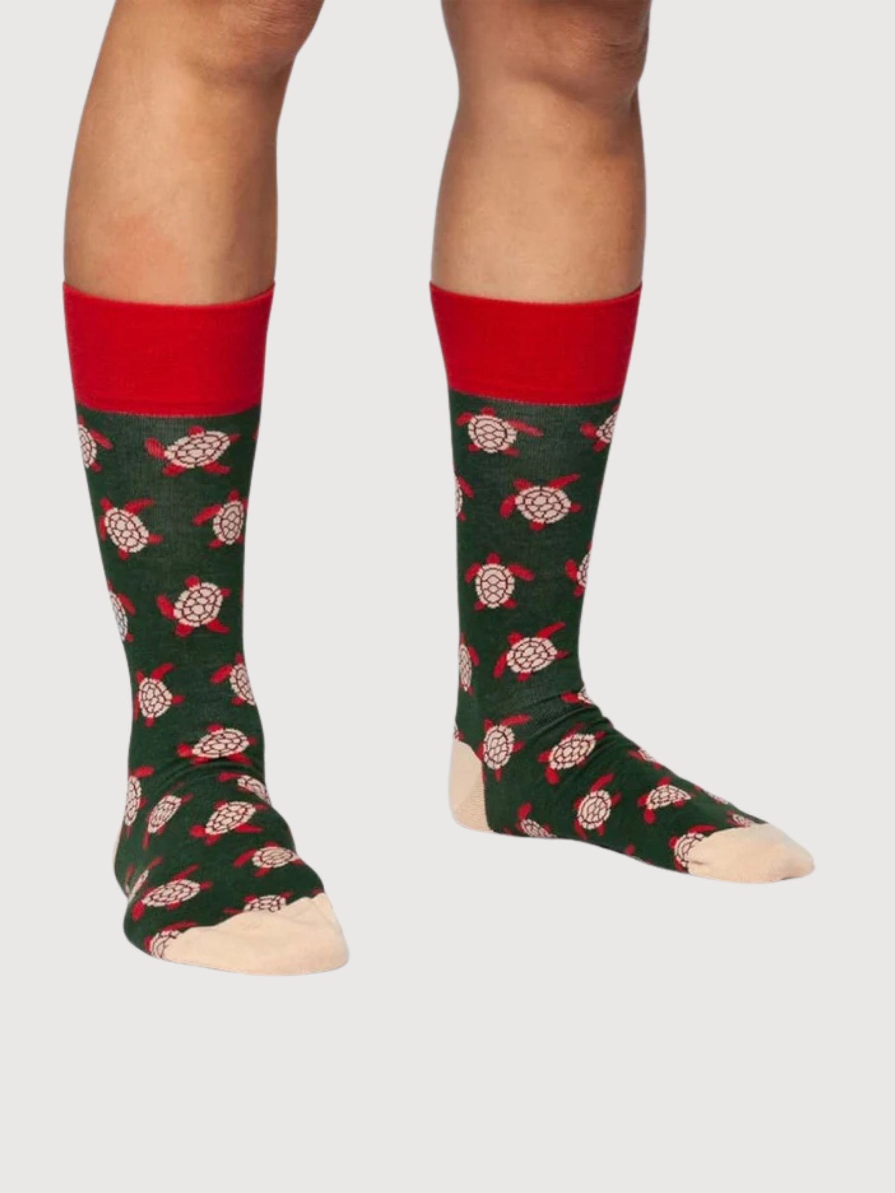 Turtle Love Socks | Dillysocks