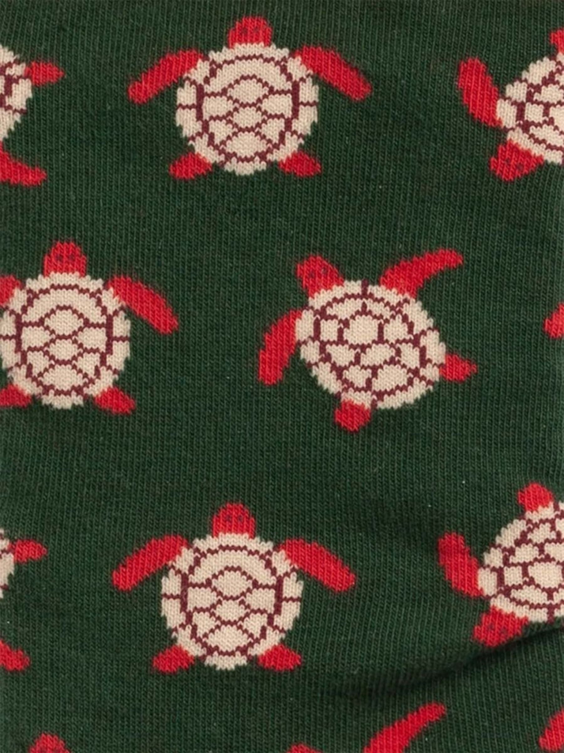 Turtle Love Socks | Dillysocks