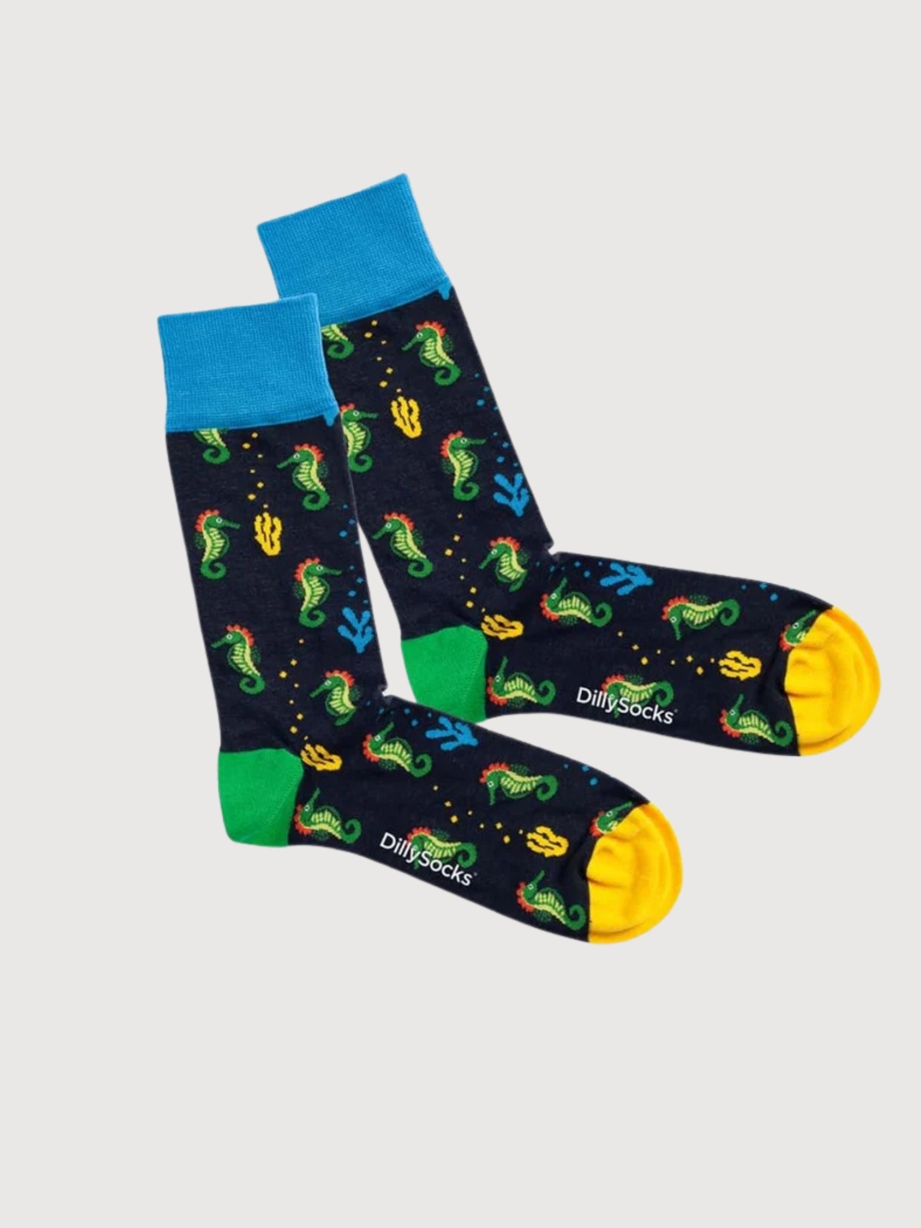 Seahorse Story Socks | Dillysocks