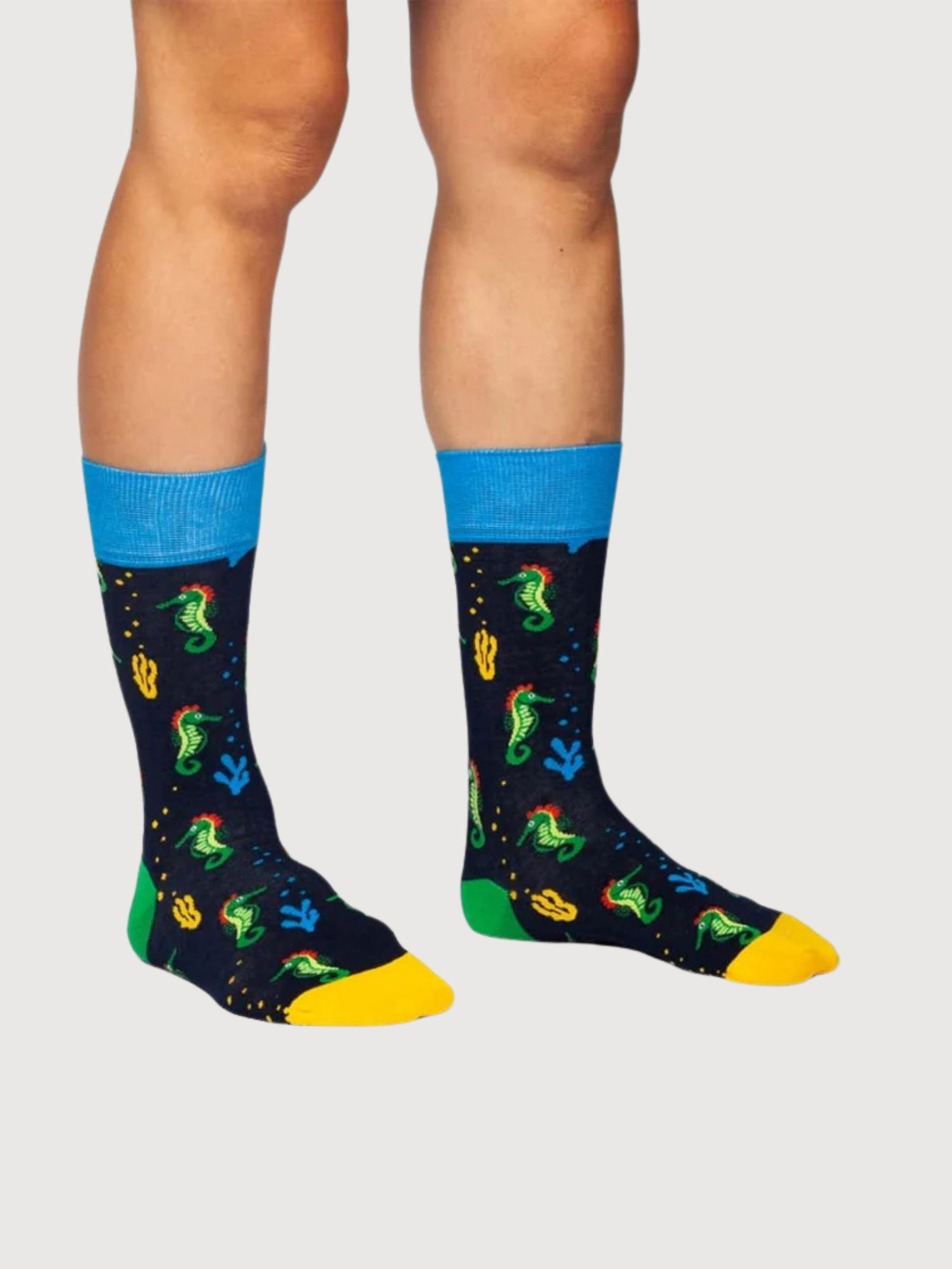 Seahorse Story Socks | Dillysocks