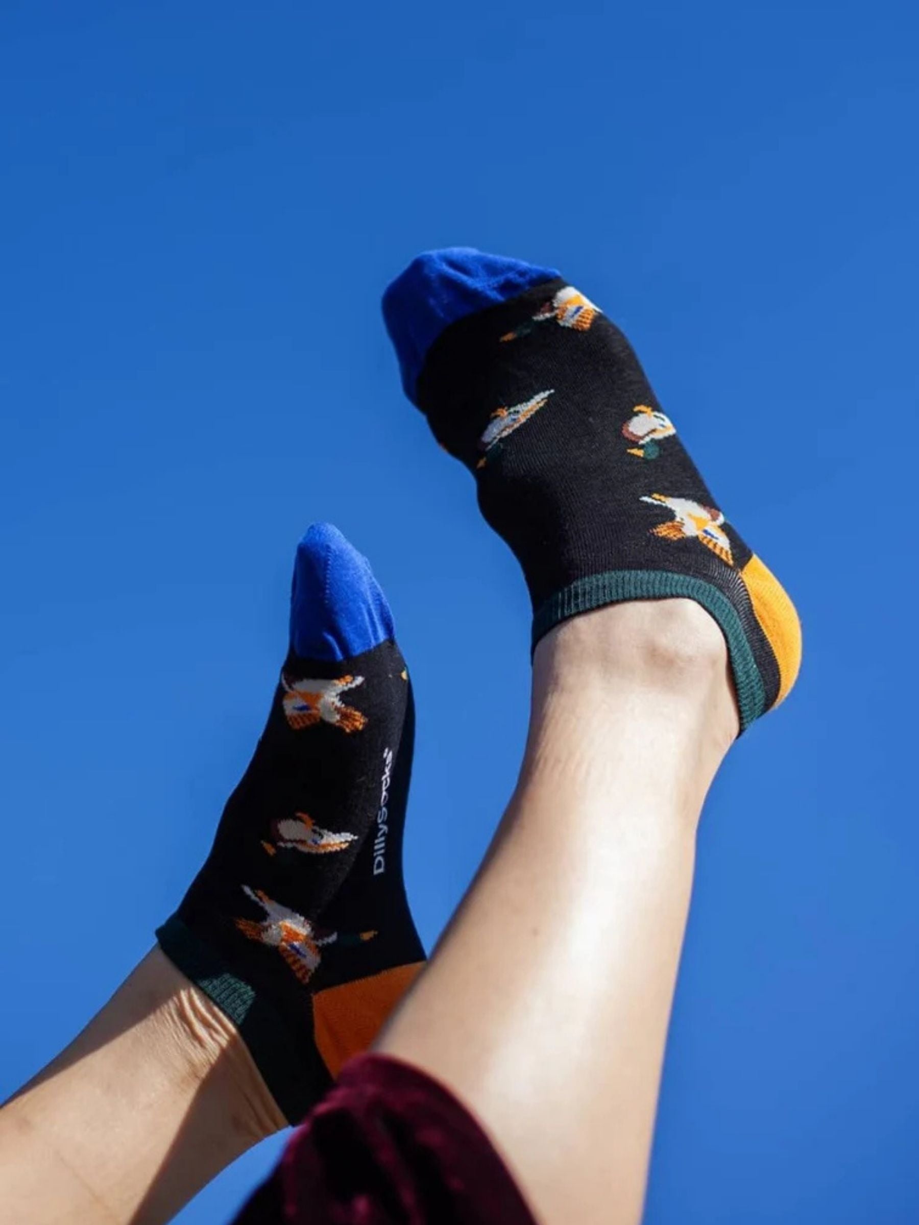 Socks Short Duckadee Duck Duck Unisex | Dillysocks