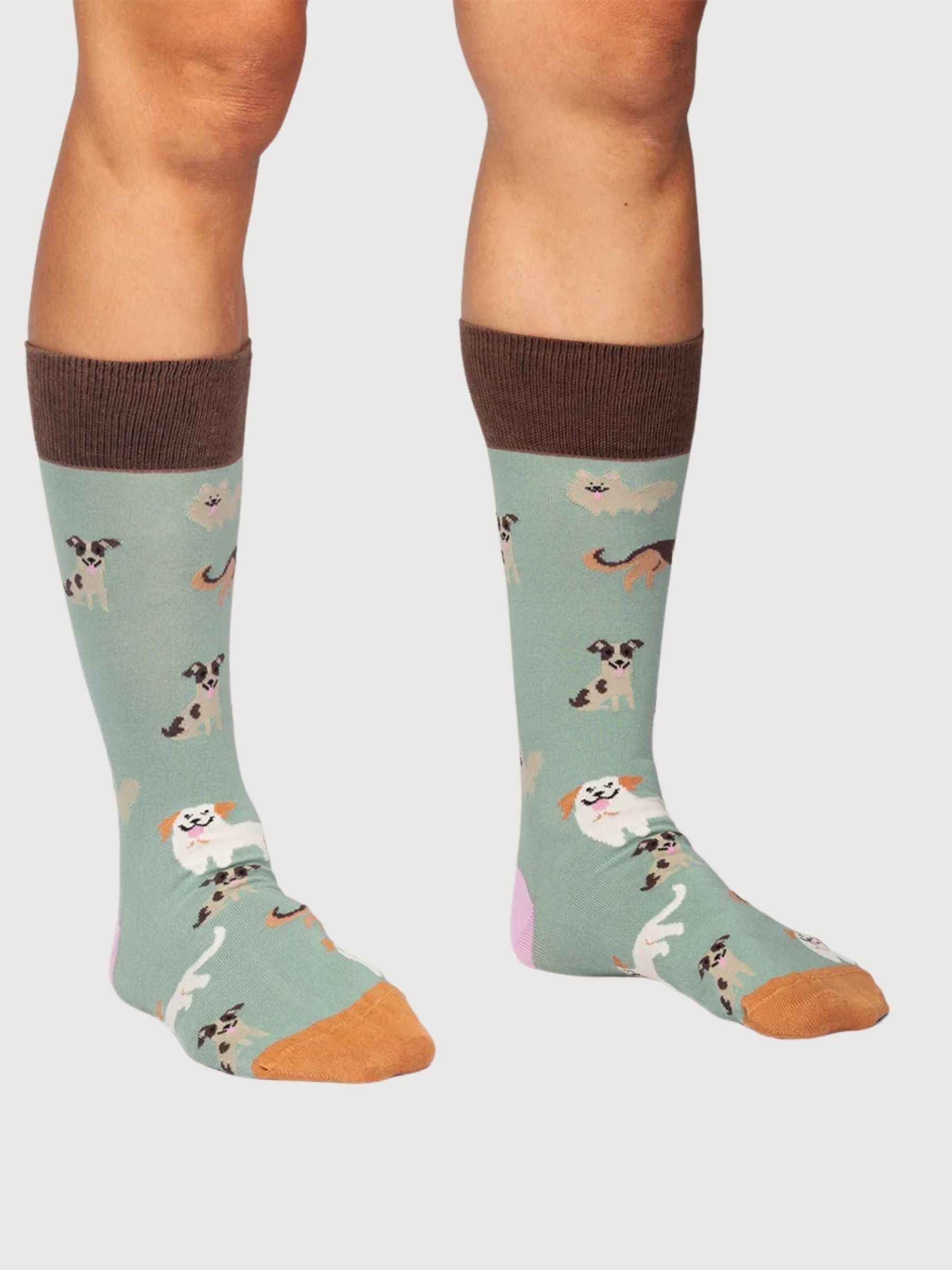 Doggy Dog Socks | Dillysocks