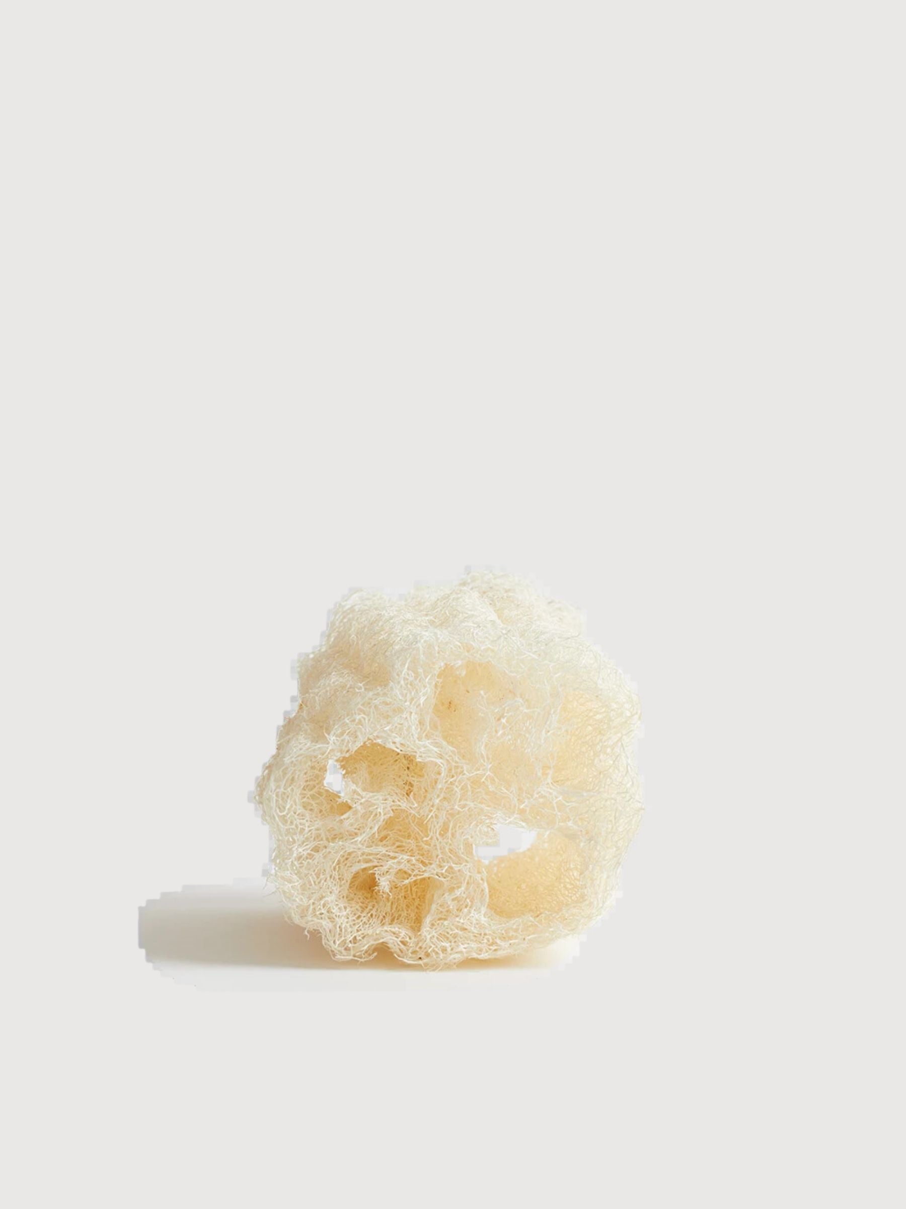 Loofah Schwamm | Team Dr. Joseph