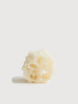 Loofah Schwamm | Team Dr. Joseph