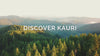 discover kauri video